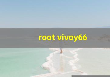 root vivoy66